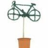 Bicycle (Ligustrum Delavayanum) -DIRECTPLANT Winkel 20060529163904 1