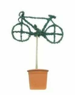 Bicycle (Ligustrum Delavayanum)