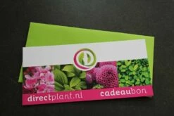Cadeaubon - Ter Waarde Van 50 Euro