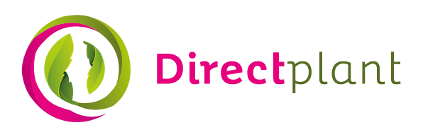 DIRECTPLANT Winkel